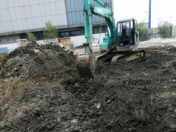 案例展示